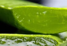 Get the most out of aloe vera for your skin