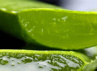 Get the most out of aloe vera for your skin