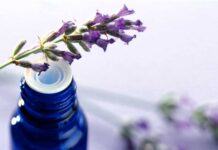 Make your own perfume!