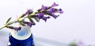 Make your own perfume!